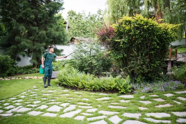 Wasp Removal Services in Shady Hills, FL