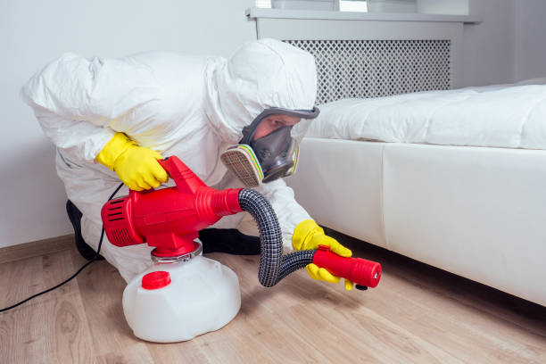 Best Pest Control Near Me in Shady Hills, FL