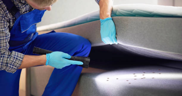 Best Flea Control Services  in Shady Hills, FL