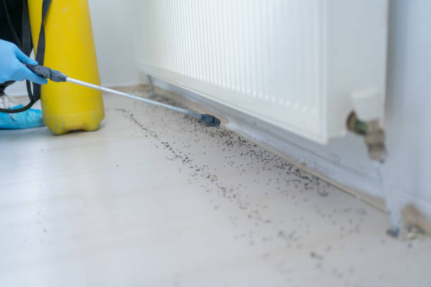 Best Pest Inspection Near Me  in Shady Hills, FL